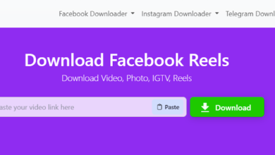 Facebook Video & Reels Downloader